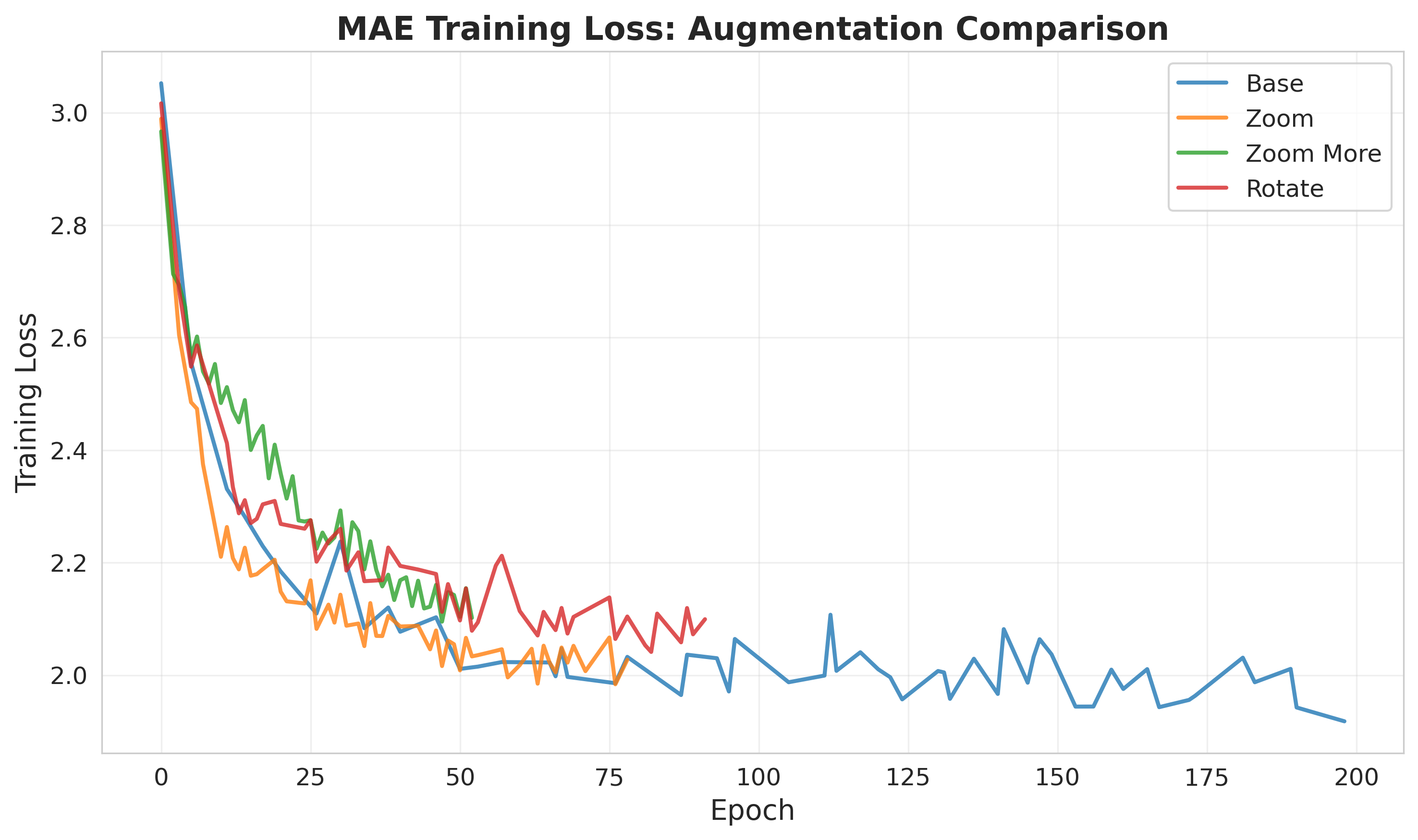 Augmentations Training Loss