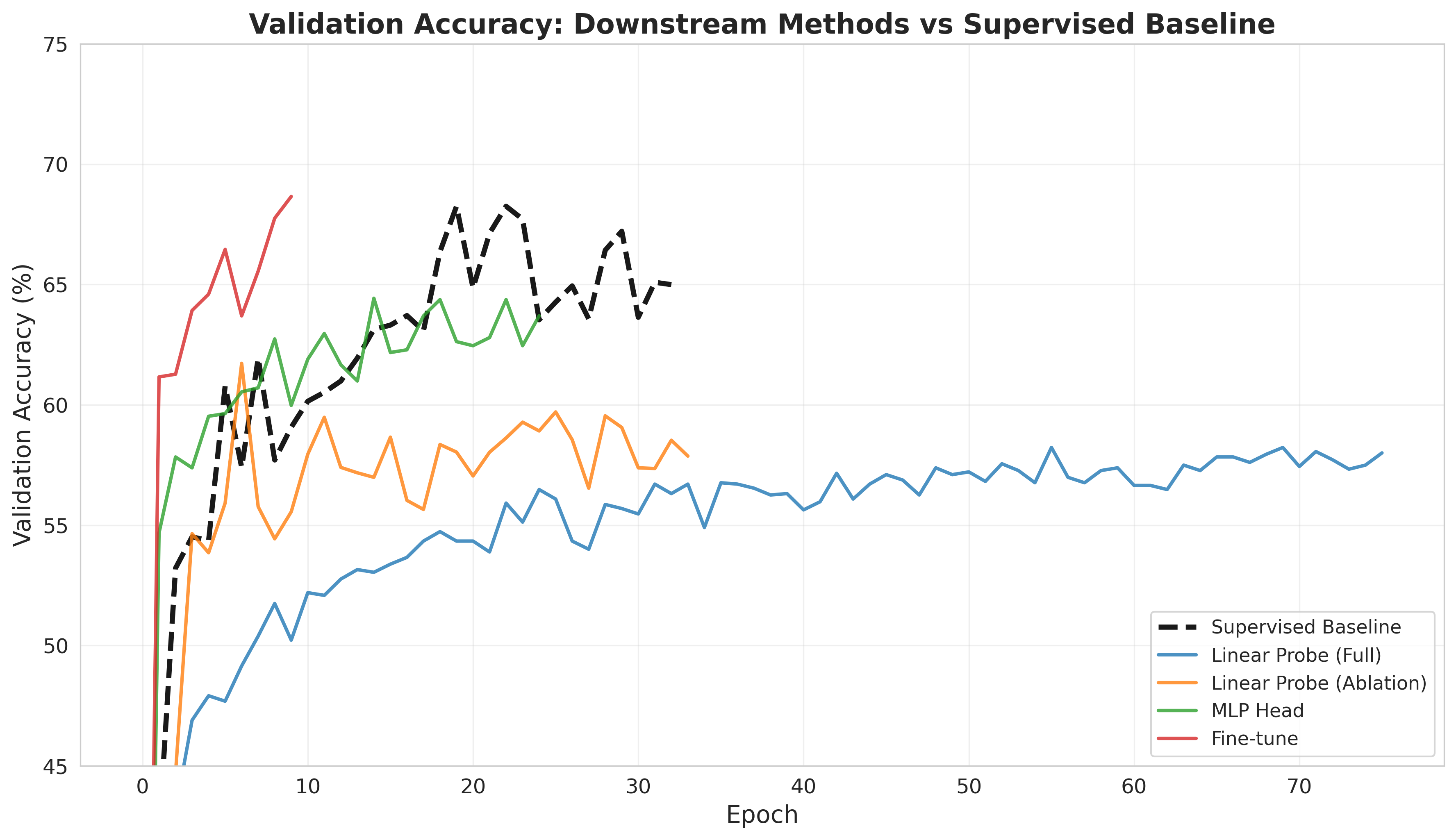 Downstream Validation Accuracy