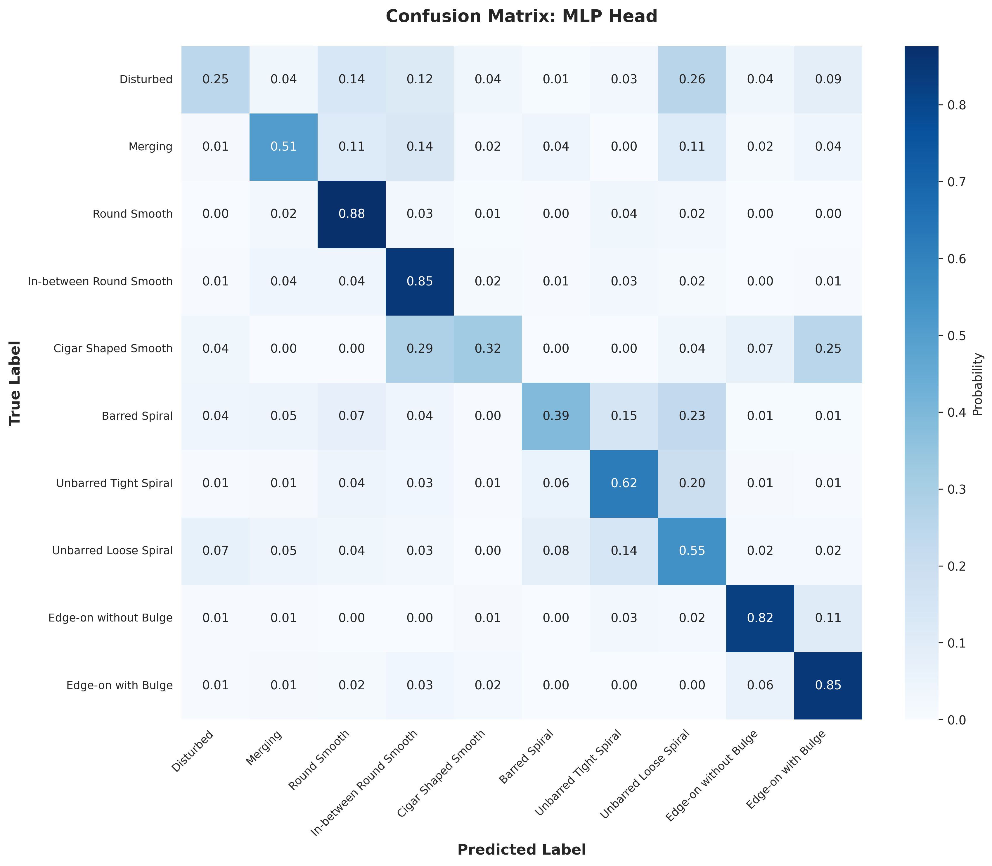 MLP Head Confusion Matrix